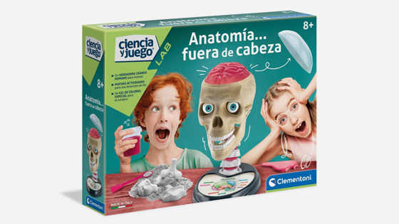 Anatomía Fuera de Cabeza